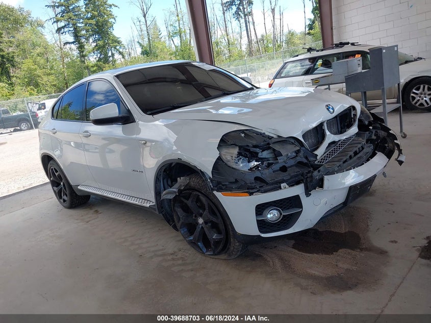 2009 BMW X6 xDrive50I VIN: 5UXFG83599LZ94248 Lot: 39688703
