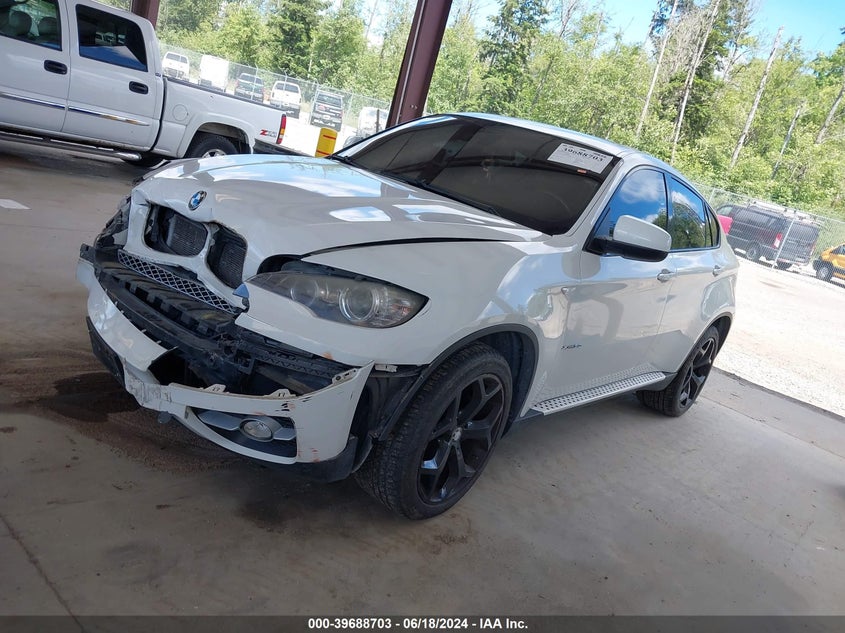 2009 BMW X6 xDrive50I VIN: 5UXFG83599LZ94248 Lot: 39688703