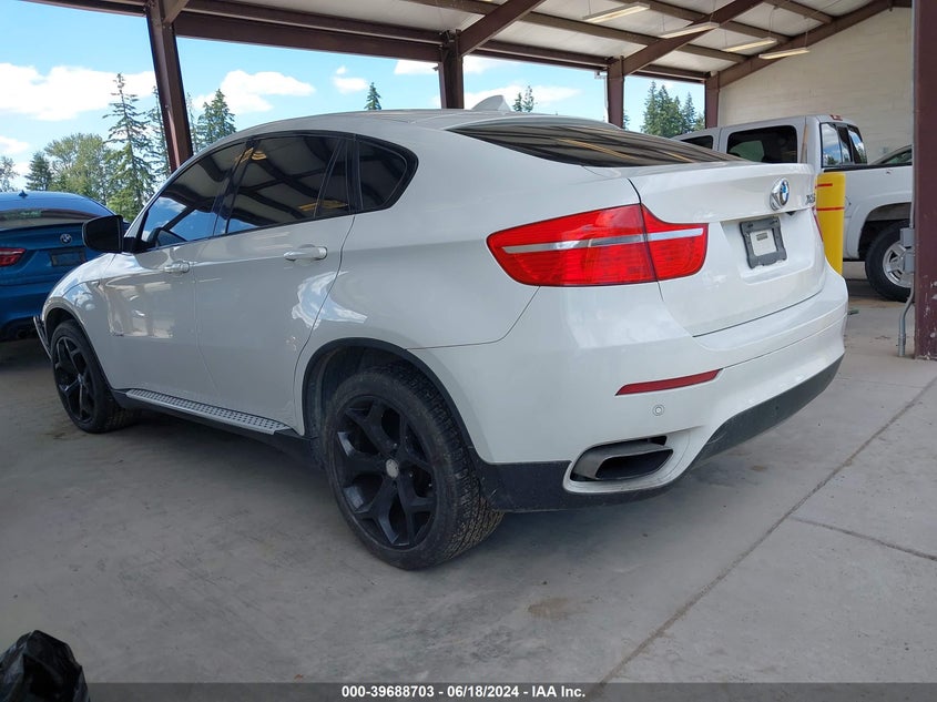 2009 BMW X6 xDrive50I VIN: 5UXFG83599LZ94248 Lot: 39688703