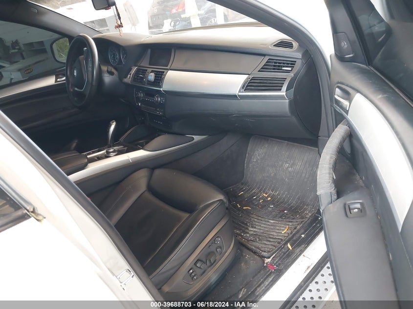 2009 BMW X6 xDrive50I VIN: 5UXFG83599LZ94248 Lot: 39688703