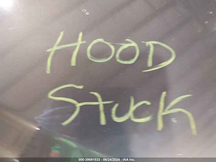 2009 Toyota Rav4 VIN: JTMBF33V995006685 Lot: 39691533