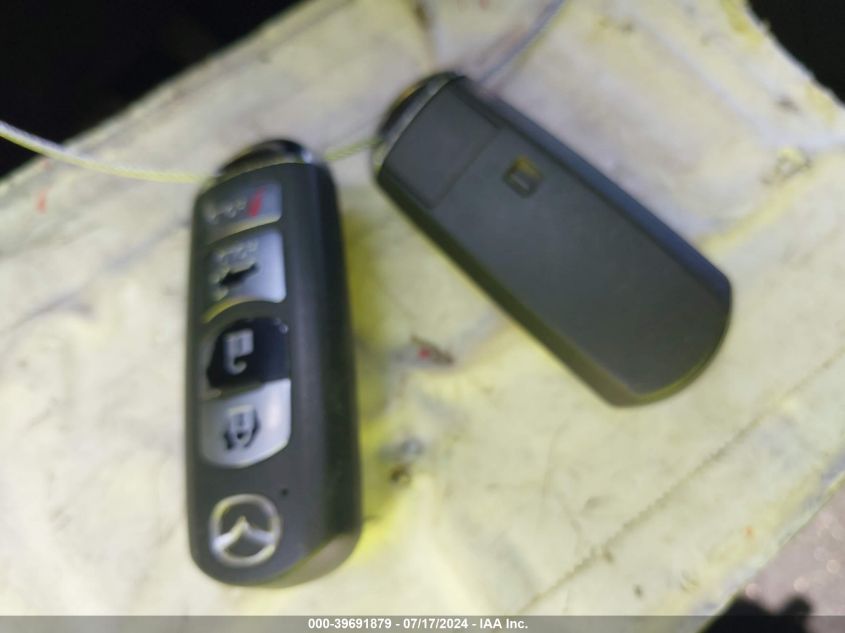 2010 Mazda Cx-9 Touring VIN: JM3TB3MA8A0225609 Lot: 39691879