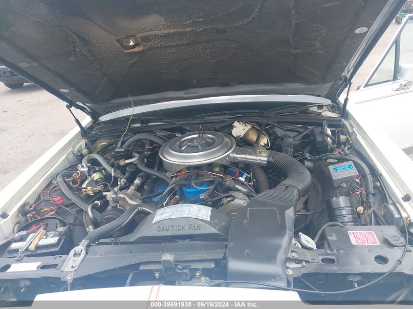 1982 Lincoln Mark Vi VIN: 1MRBP95F0CY646972 Lot: 39691938