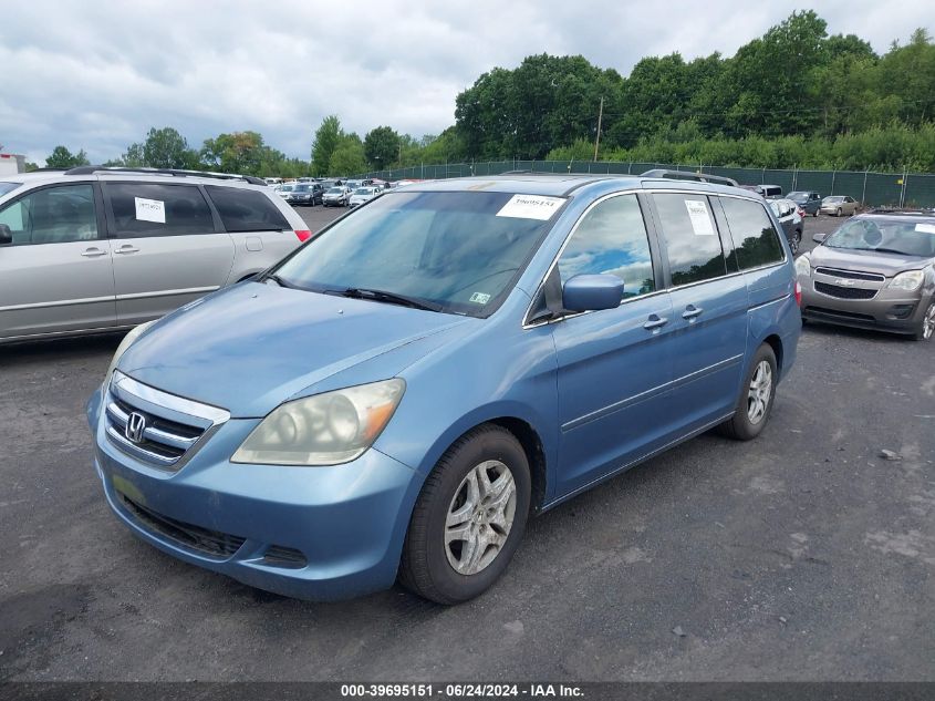 2006 Honda Odyssey Ex-L VIN: 5FNRL38716BB05483 Lot: 39695151