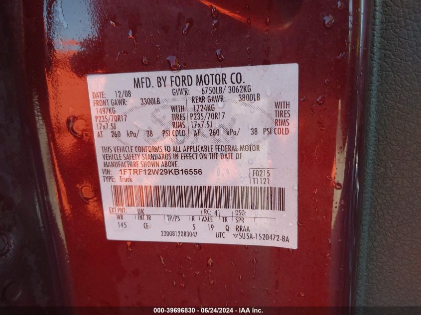 2009 Ford F-150 Stx/Xl/Xlt VIN: 1FTRF12W29KB16556 Lot: 39696830