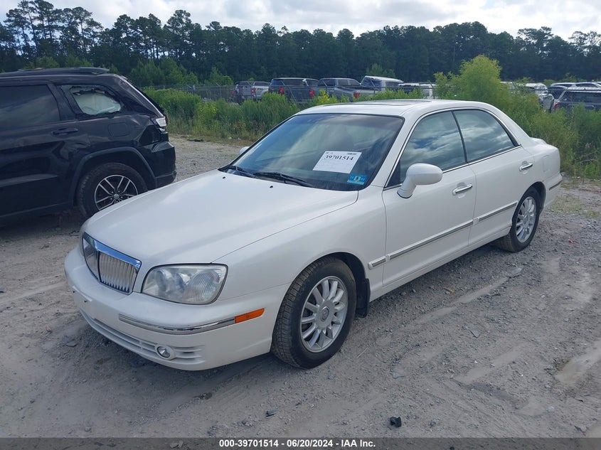 2004 Hyundai Xg 350 VIN: KMHFU45E54A276423 Lot: 39701514