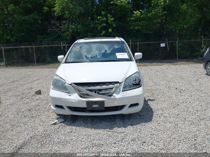 2005 Honda Odyssey Ex-L VIN: 5FNRL38725B104533 Lot: 39702011