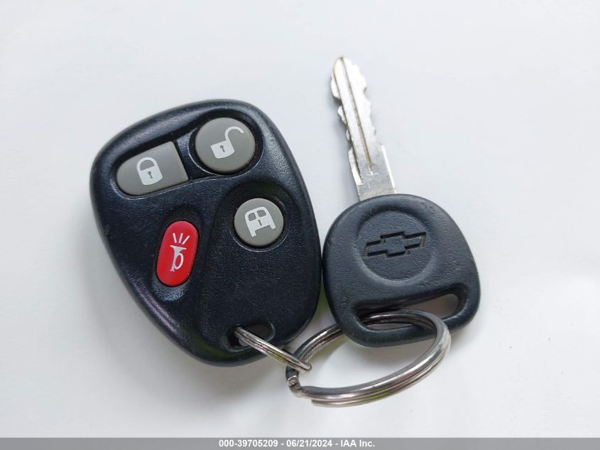 2004 Chevrolet Express VIN: 1GBFH15T241202838 Lot: 39705209