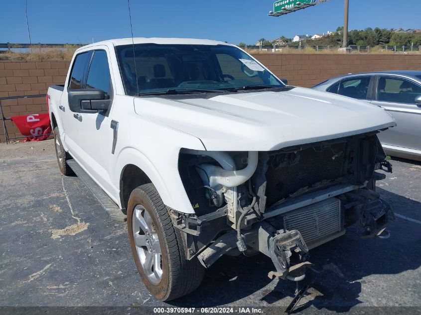 2021 FORD F-150 XLT - 1FTFW1E87MFA91235