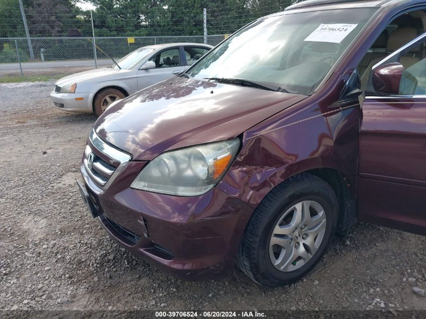 2007 Honda Odyssey Ex-L VIN: 5FNRL38677B448238 Lot: 39706524