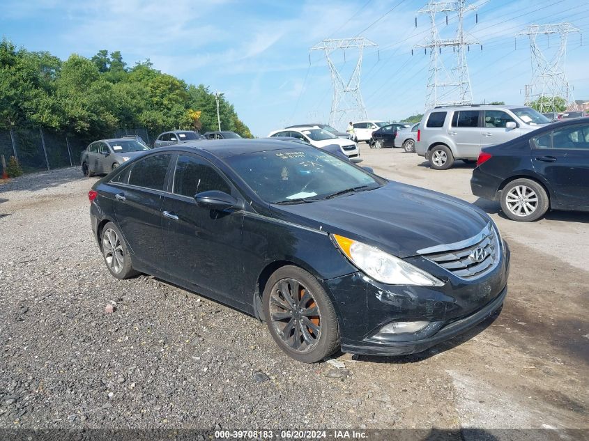 5NPEC4AC5DH517199 | 2013 HYUNDAI SONATA