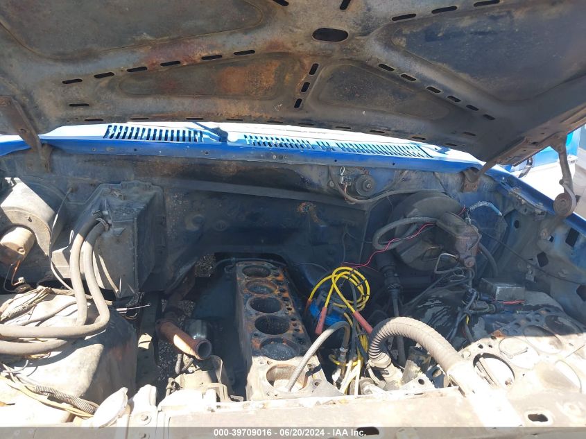 1981 Ford F150 VIN: 1FTDF14E1BRA25595 Lot: 39709016