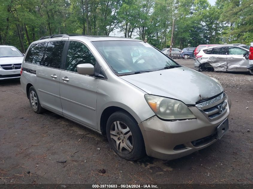 2007 Honda Odyssey Ex-L VIN: 5FNRL387X7B109448 Lot: 39710683