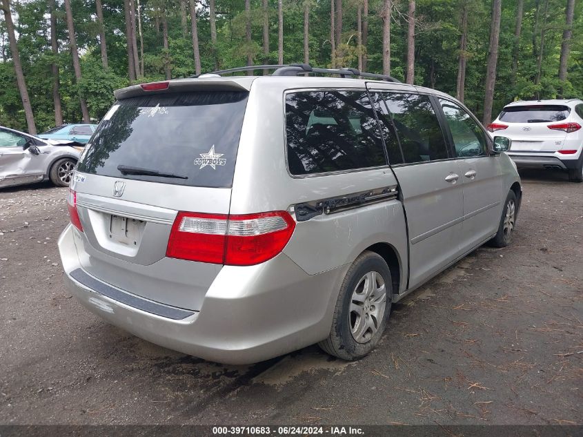 2007 Honda Odyssey Ex-L VIN: 5FNRL387X7B109448 Lot: 39710683