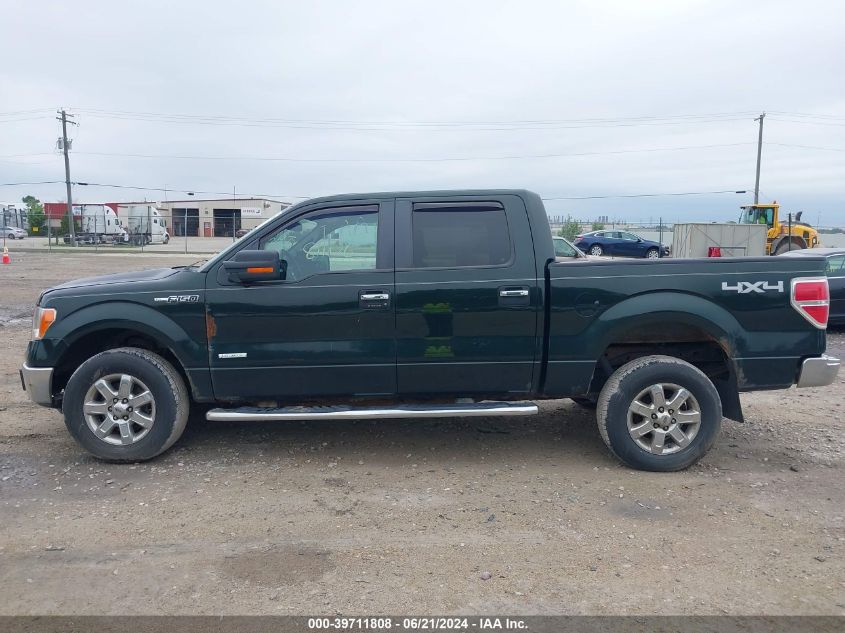 2013 FORD F-150 XLT - 1FTFW1ETXDFA33723