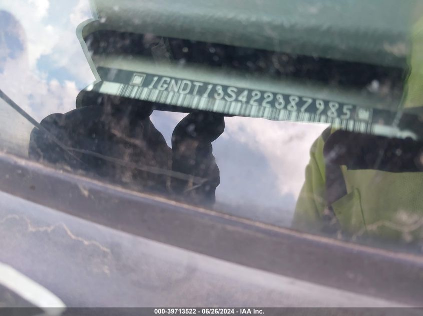 2002 Chevrolet Trailblazer Ls VIN: 1GNDT13S422387985 Lot: 39713522