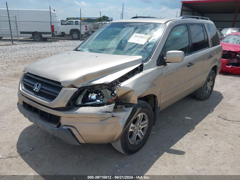 2005 Honda Pilot Ex-L VIN: 5FNYF18575B054444 Lot: 39715812