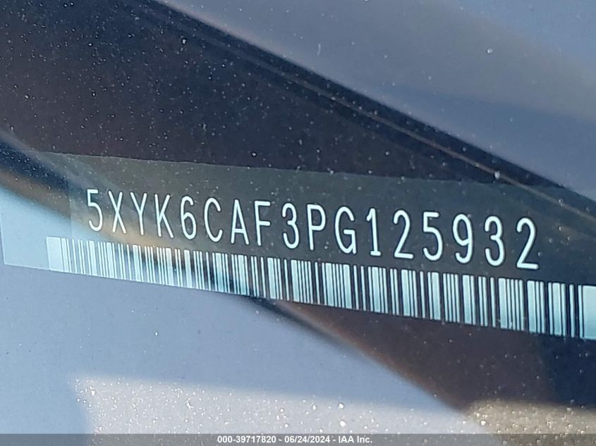 2023 Kia Sportage X-Line VIN: 5XYK6CAF3PG125932 Lot: 39717820