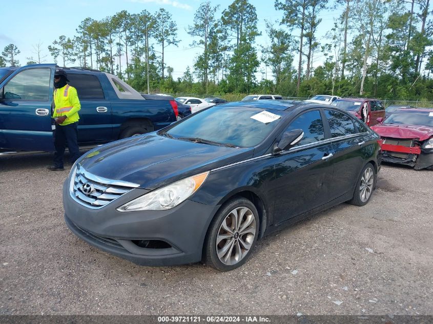 5NPEC4AB6DH805241 | 2013 HYUNDAI SONATA