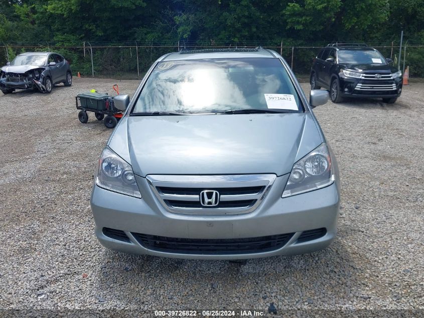 2005 Honda Odyssey Ex-L VIN: 5FNRL38715B117595 Lot: 39726822