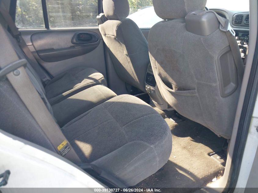 2003 Chevrolet Trailblazer VIN: 1GNDS13S032323998 Lot: 39730727