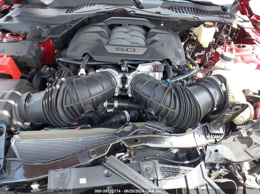 VIN 1FA6P8CFXR5423677 2024 FORD MUSTANG GT