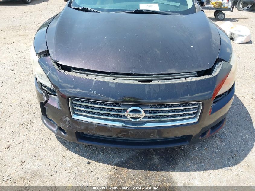2010 Nissan Maxima 3.5 Sv VIN: 1N4AA5AP8AC858204 Lot: 39732885