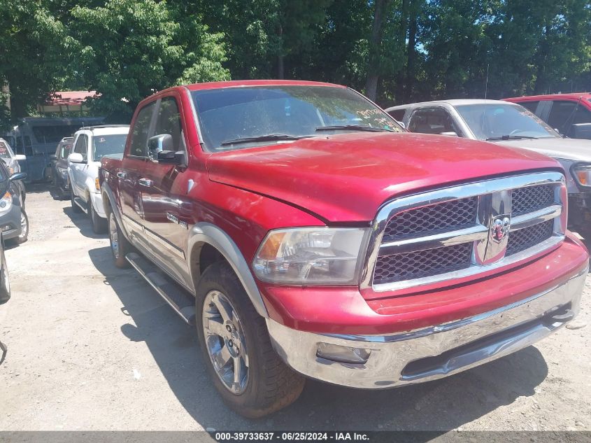 1D3HB13T49J518779 | 2009 DODGE RAM 1500