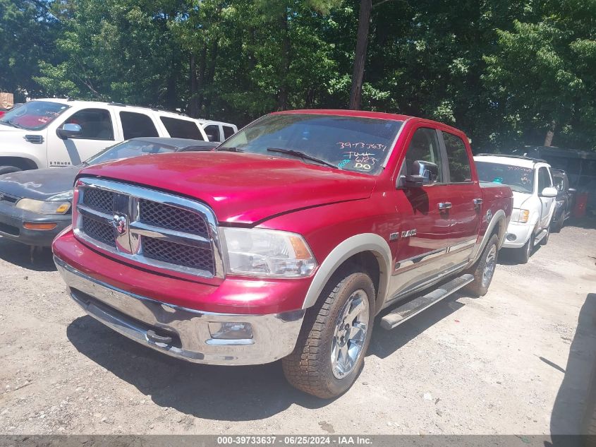 1D3HB13T49J518779 | 2009 DODGE RAM 1500