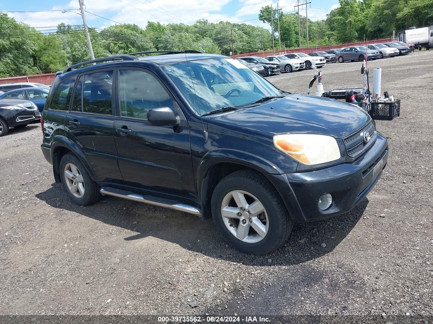 2004 Toyota Rav4 VIN: JTEHD20V946012466 Lot: 39735562