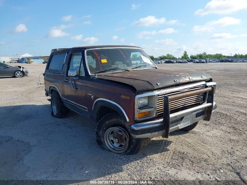 1981 Ford Bronco U100 VIN: 1FMEU15G4BLA22442 Lot: 39735719