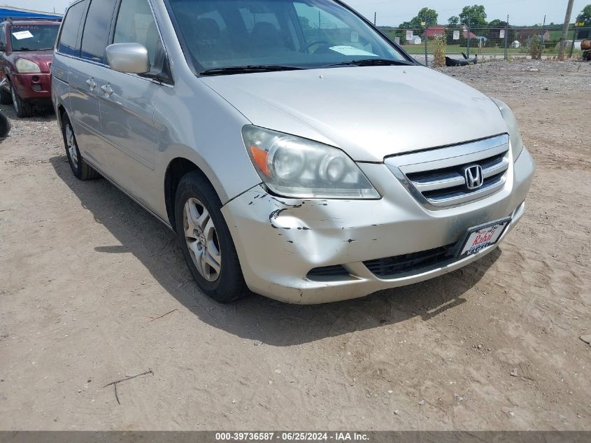2005 Honda Odyssey Ex-L VIN: 5FNRL38735B047372 Lot: 39736587