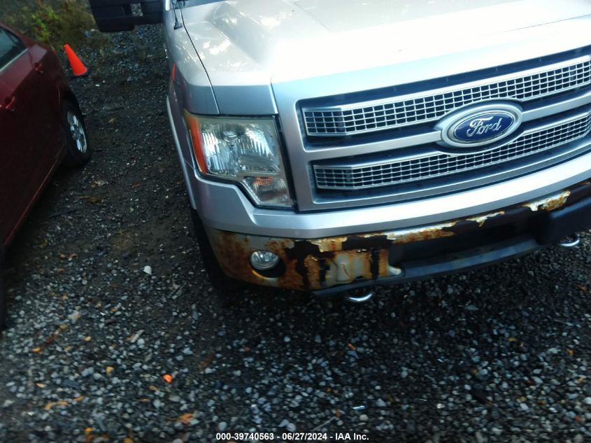 2010 Ford F-150 Fx4/Harley-Davidson/King Ranch/Lariat/Platinum/Xl/Xlt VIN: 1FTFW1EV6AFA22974 Lot: 39740563