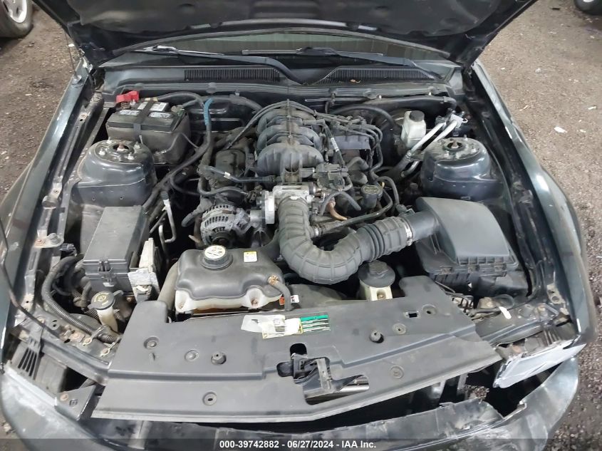 2009 Ford Mustang V6/V6 Premium VIN: 1ZVHT80N695102677 Lot: 39742882