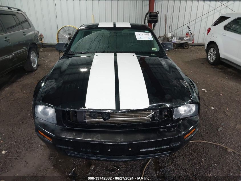 2009 Ford Mustang V6/V6 Premium VIN: 1ZVHT80N695102677 Lot: 39742882
