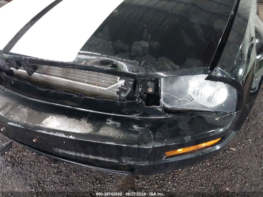 2009 Ford Mustang V6/V6 Premium VIN: 1ZVHT80N695102677 Lot: 39742882