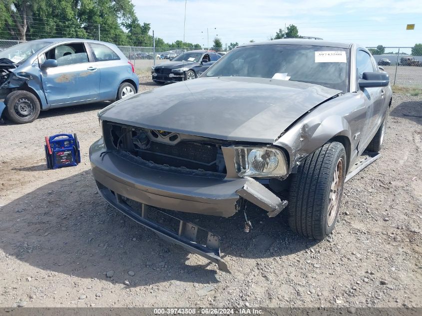 2005 Ford Mustang Gt Deluxe/Gt Premium VIN: 1ZVFT82H255172816 Lot: 39743508