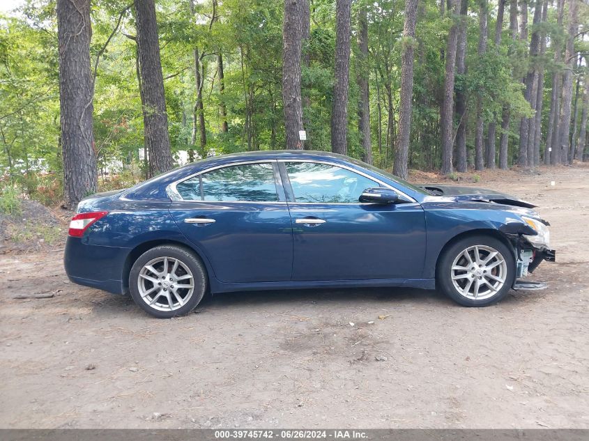 2010 Nissan Maxima 3.5 Sv VIN: 1N4AA5AP5AC800650 Lot: 39745742