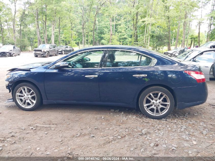 2010 Nissan Maxima 3.5 Sv VIN: 1N4AA5AP5AC800650 Lot: 39745742