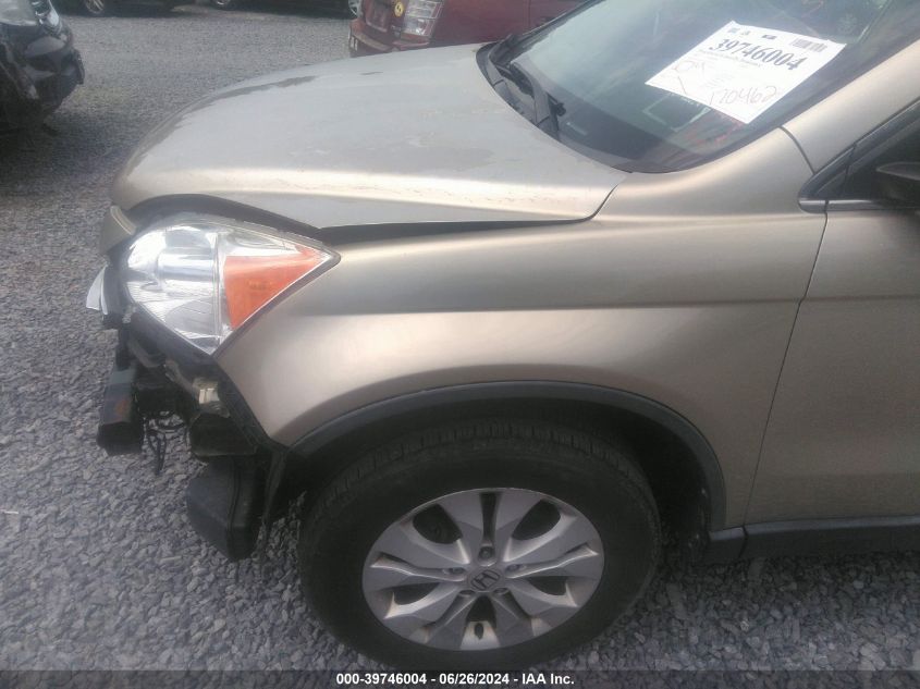 2007 Honda Cr-V Ex VIN: JHLRE48517C016638 Lot: 39746004