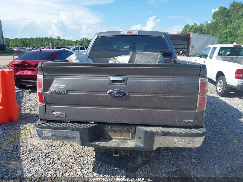 2013 Ford F-150 Xlt VIN: 1FTEW1CM6DKF70846 Lot: 39746875