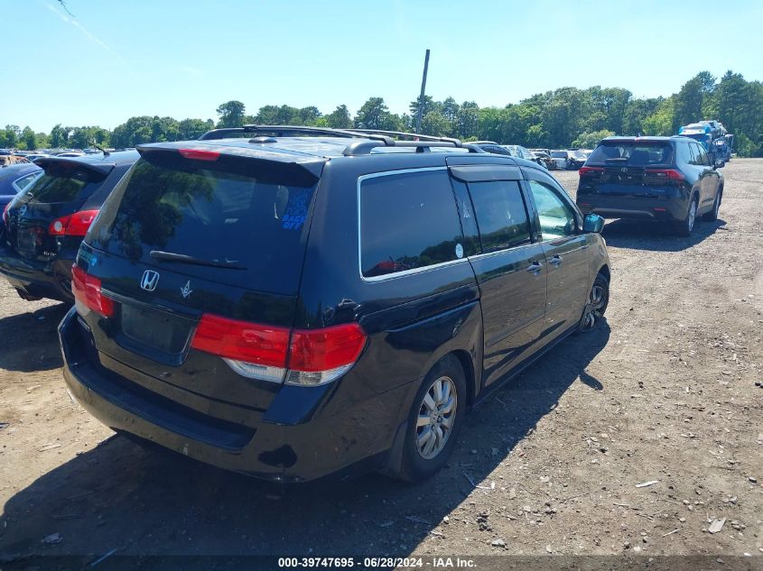 2010 Honda Odyssey Ex-L VIN: 5FNRL3H64AB034969 Lot: 39747695