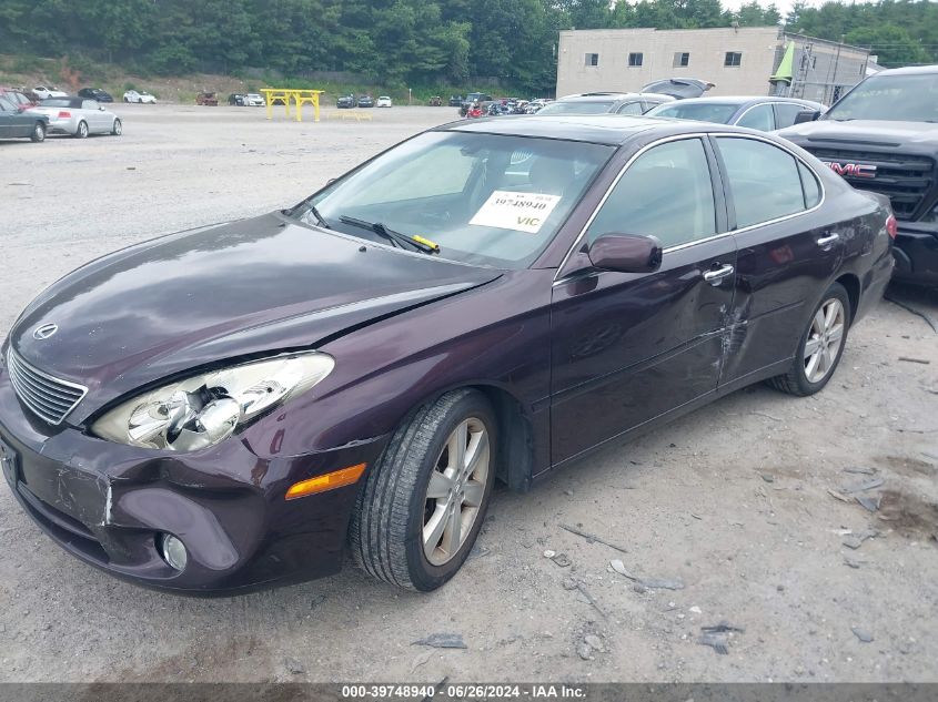 2005 Lexus Es 330 VIN: JTHBA30G655141278 Lot: 39748940
