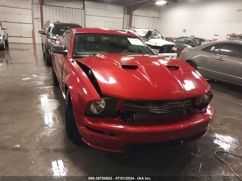 2006 Ford Mustang Gt VIN: 1ZVHT82H865219602 Lot: 39750602