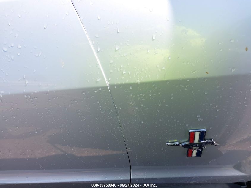 2006 Ford Mustang VIN: 1ZVHT80N365125247 Lot: 39750940