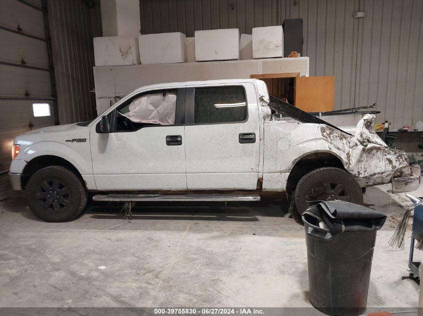 2013 Ford F-150 Xlt VIN: 1FTFW1ET4DFC25848 Lot: 39755830