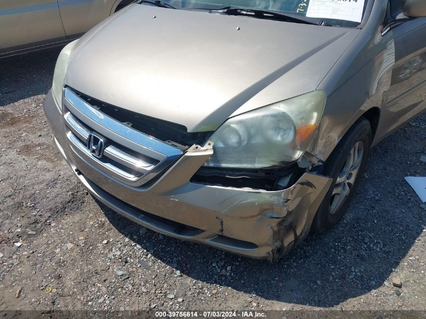 2005 Honda Odyssey Ex-L VIN: 5FNRL38665B041248 Lot: 39756614