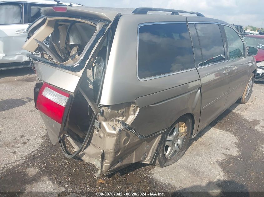 2005 Honda Odyssey Ex-L VIN: 5FNRL38715B019280 Lot: 39757942