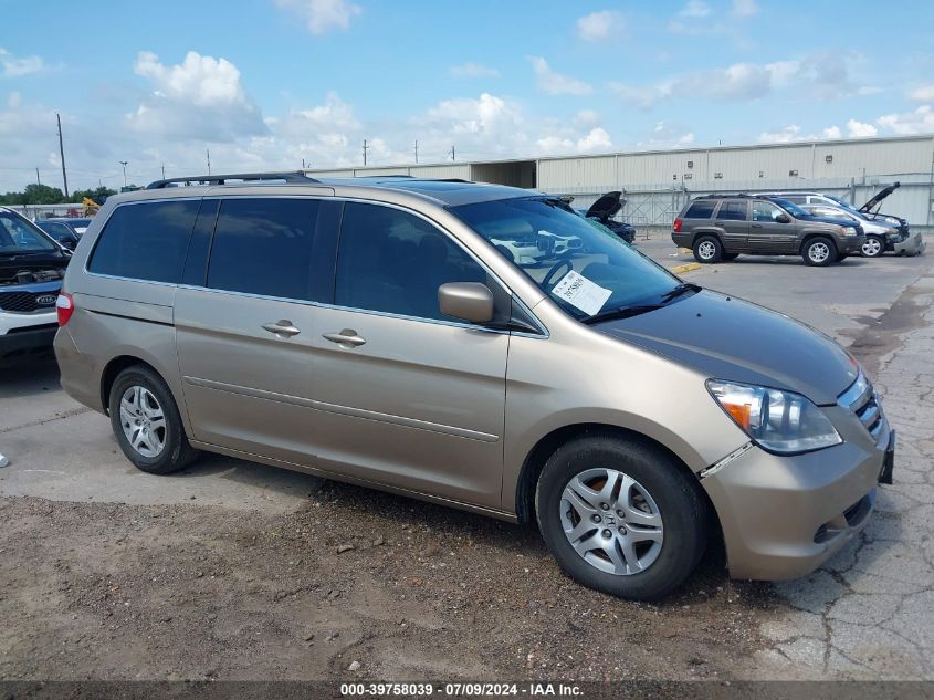 2007 Honda Odyssey Ex-L VIN: 5FNRL38737B420641 Lot: 39758039