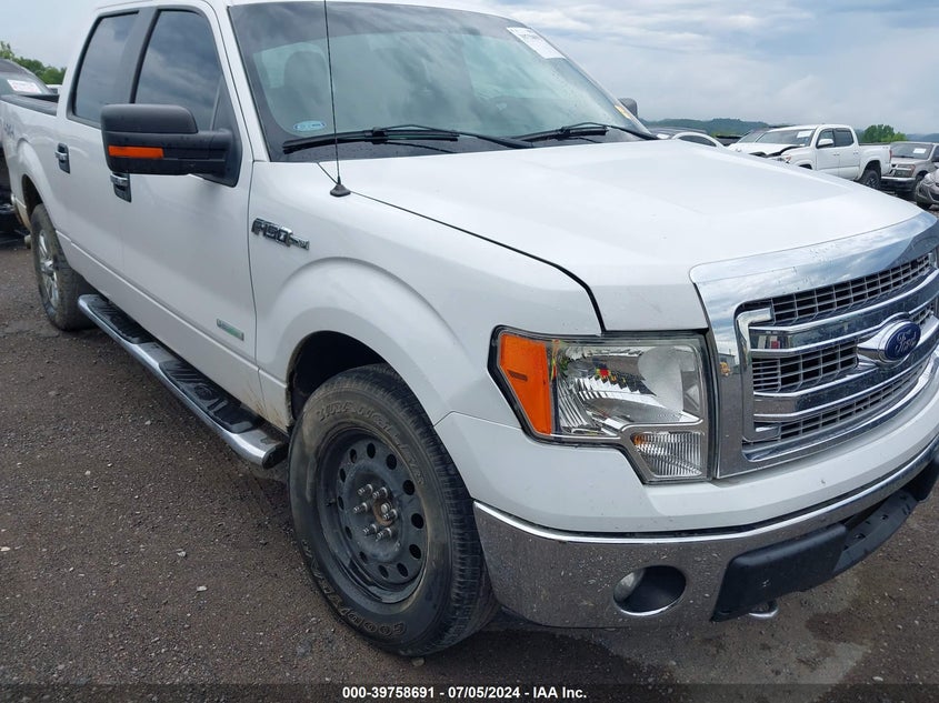2013 Ford F-150 Xlt VIN: 1FTFW1ET0DKG41130 Lot: 39758691